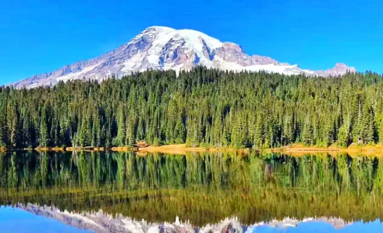 Mount Rainier National Park Day Tour from Seattle