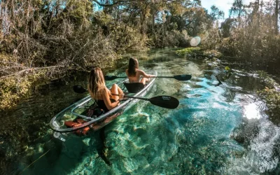 Rock Springs 2-Hour Glass Bottom Guided Kayak Eco Tour Rock Springs 2-Hour Glass Bottom Guided Kayak Eco Tour