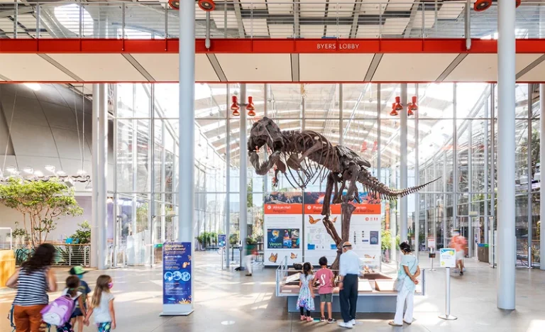 California Academy of Sciences Admission Ticket