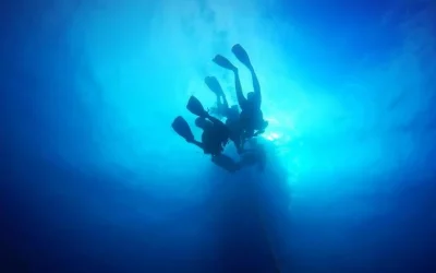 Miami Beach Awaits: Discover Scuba Diving with PADI 5* Dive Center