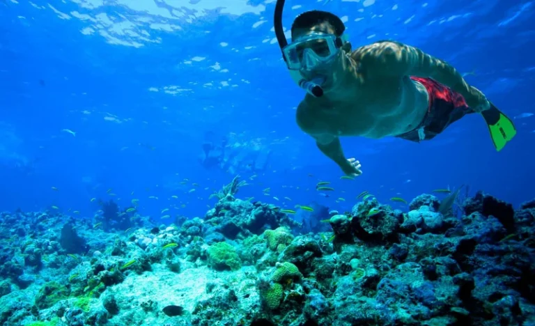 Snorkeling Adventure in Key West