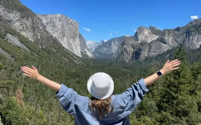 Yosemite & Giant Sequoias 1-Day Tour from San Francisco