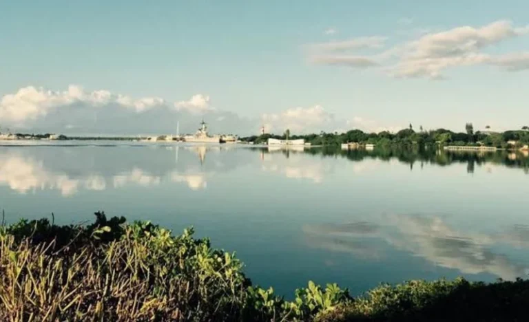 Hawaii Pearl Harbor, Arizona Memorial, and Downtown Half Day Tour