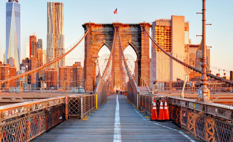 New York Boroughs: Brooklyn, Bronx, Harlem & Coney Island Day Tour