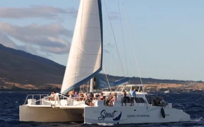 Deluxe Whale Watching Sail in Maui