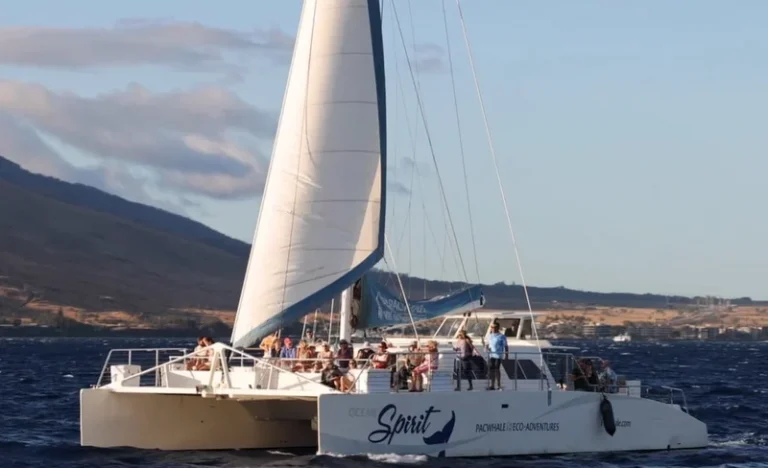Deluxe Whale Watching Sail in Maui