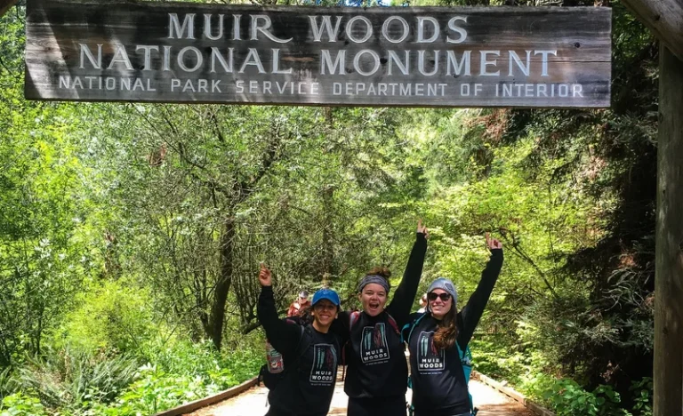 Muir Woods, Sonoma and Napa Wine Country Day Tour from San Francisco