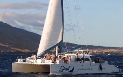 Whale Watching Sail in Maui