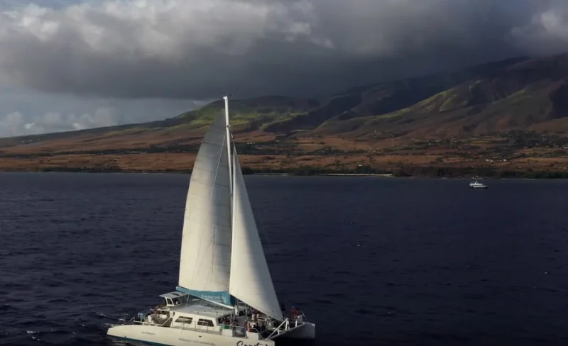 Sunset Cocktail Cruise in Maui