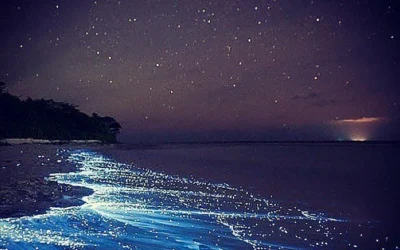 Bioluminescence Clear Kayak or Paddleboard Tour in Titusville