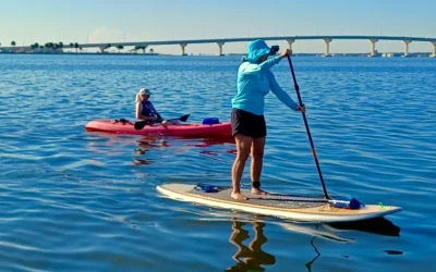 Dolphin & Manatee Kayak or Paddle Board Tour in Titusville Dolphin & Manatee Kayak or Paddle Board Tour in Titusville
