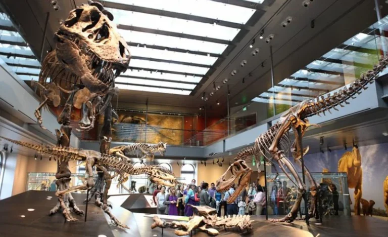 Natural History Museum Ticket in Los Angeles