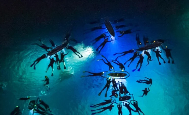 Hawaii Big Island Manta Ray Night Snorkel Experience