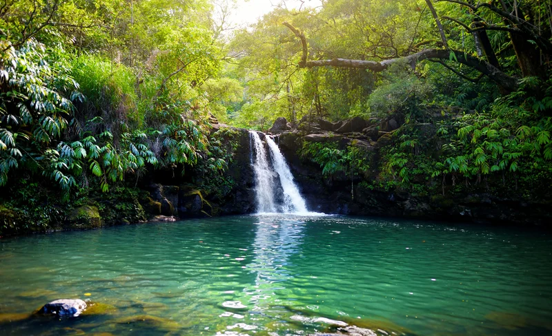 Maui Beach Parks Self-Guided Driving Audio Tour