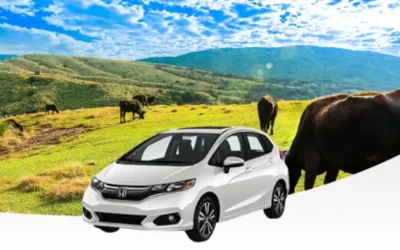 Taoyuan Car Rental | Rent a car for Window on World Theme Park, Xpark, Taoyuan Airport, Pushin Ranch, Children's Art Center