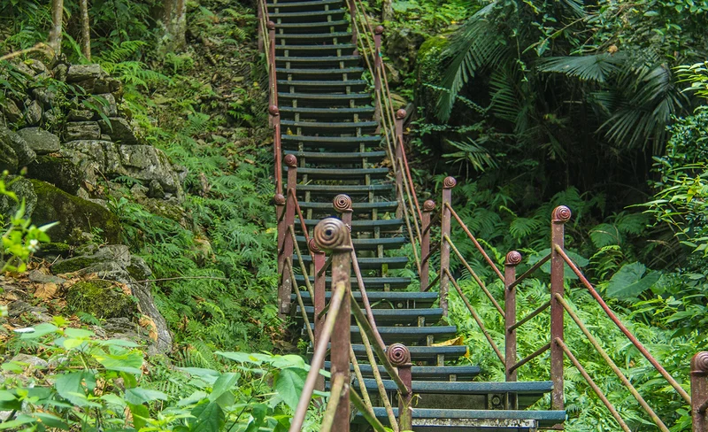 Farm Dream Estates Ticket in Hualien