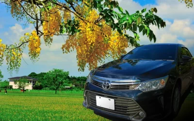 Private Transfers between Tainan Station and Tainan City