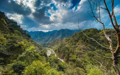 Baxianshan Forest Recreation Area & Guguan Hot Spring Day Tour