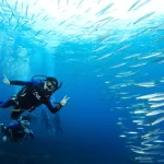 Kenting Underwater Diving Experience