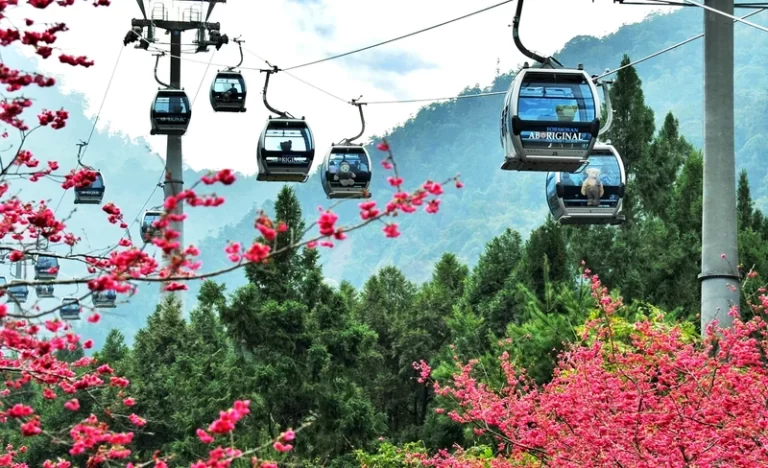 bdzwyp88hcpfpamixilh