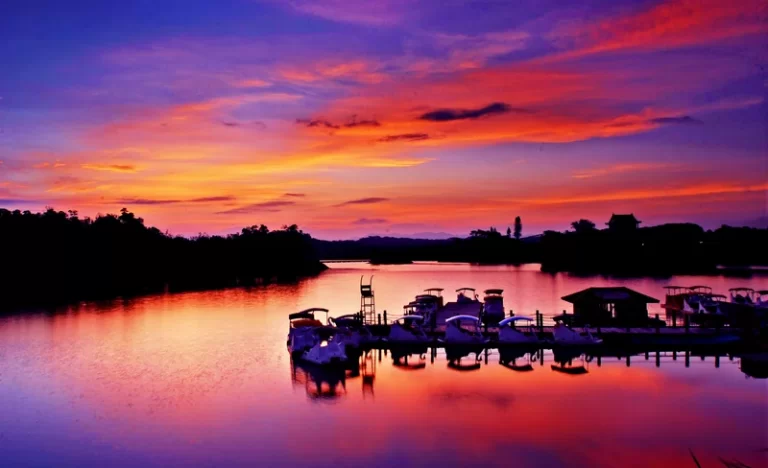 bfkhr7s9w0tyztedilox