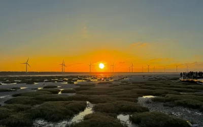 Taichung: Zhongshe Flower Market & Gaomei Wetland & Miyahara Ophthalmology & Rainbow Village & Chun Shui Tang Pearl Milk Tea Day Tour (departing from Ximending, Taipei)