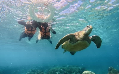 Poseidon Ocean Sports Club - Xiaoliuqiu Snorkeling/Scuba Diving Experience