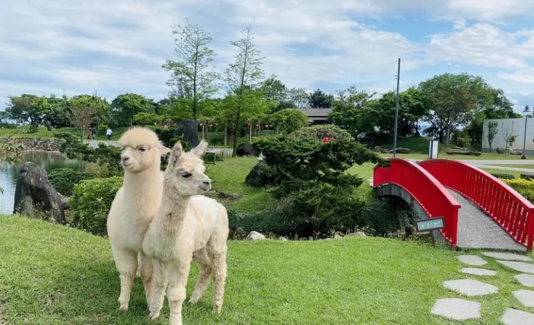 ca3h62evsl7sbfvcqe1h