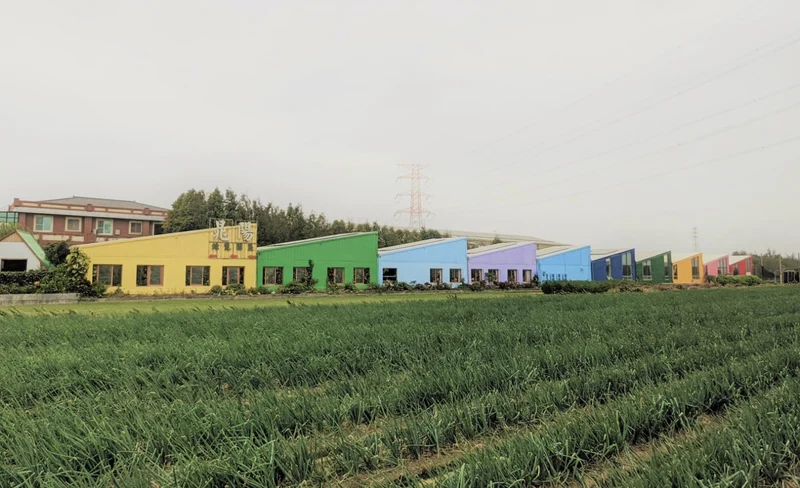 San Tiao Lun Beach Park SUP Experience in Yunlin