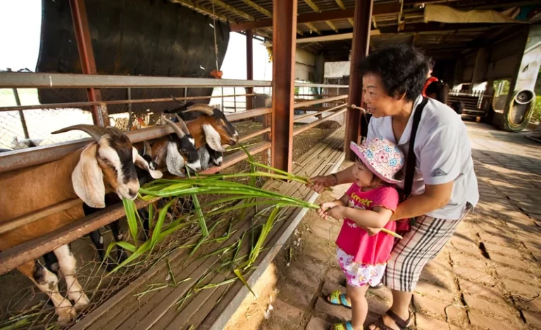 d7xle6fhkjdzedhkm03l