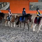 Hsinchu｜Da Ri Equestrian｜Equestrian experience