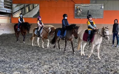 Hsinchu｜Da Ri Equestrian｜Equestrian experience