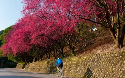 Maokong The Tea Haven & Shenkeng Old Street Tofu Private Day Tour