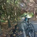 Biking and SUP Experience Half Day Tour in Hualien