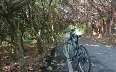 Biking and SUP Experience Half Day Tour in Hualien