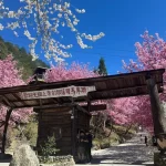 Camping Experien in Simacus, Hsinchu