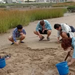 Kinmen｜Wild golden clam collection experience & shochu snail making