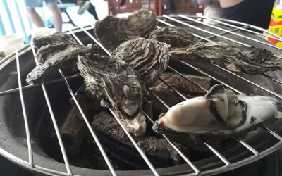 Tainan | General Fishing Port Grilled Oyster Experience & All-You-Can-Eat Oysters