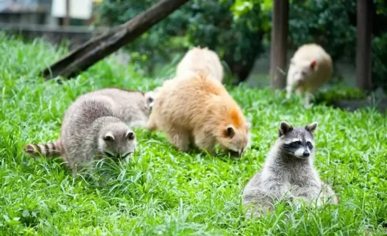 exmfppekiodludfihrfj