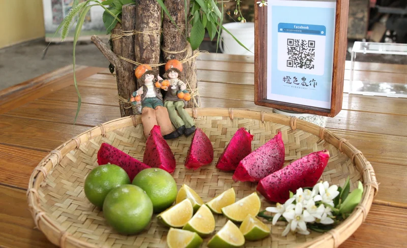 San Tiao Lun Beach Park SUP Experience in Yunlin
