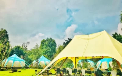 Miaoli Camping｜Zhai Zhuoran Wild Luxury Manor｜Glamping Camping・One Park Two Meals