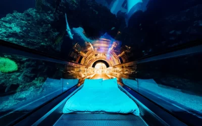 Kenting: Sleepover Experience at National Museum of Marine Biology and Aquarium