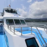 Hualien: Whale-Watching Tour by Huaqi No. 268