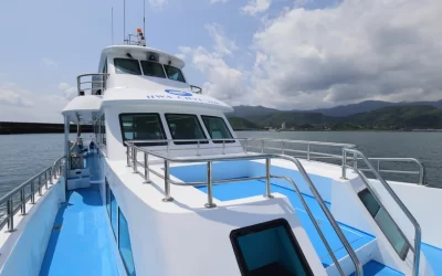 Hualien: Whale-Watching Tour by Huaqi No. 268