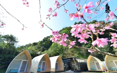 Miaoli Camping: Camping Experience at Mountain and Secret Camping