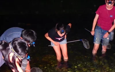 Nighttime Shrimp Picking with Dinner Experience in Hualien
