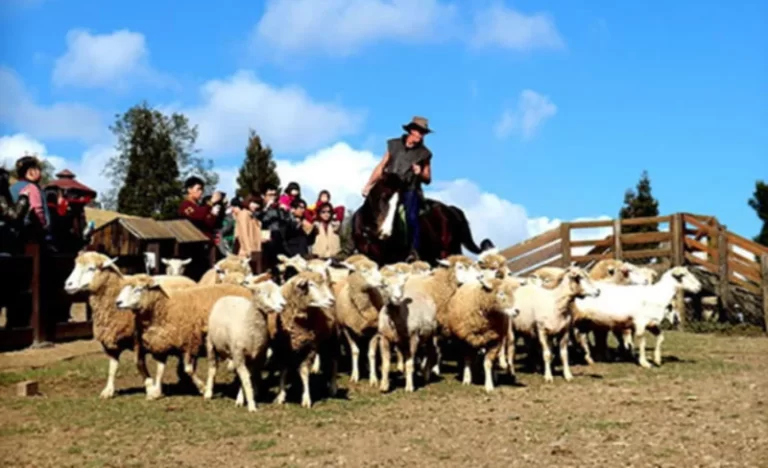 frwt0lhaotdkzs8hz0ga