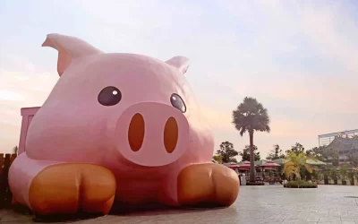Three Pigs Farm Ticket in Chiayi
