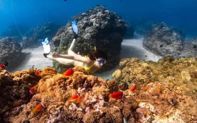 Diving Experience and Course in Kenting