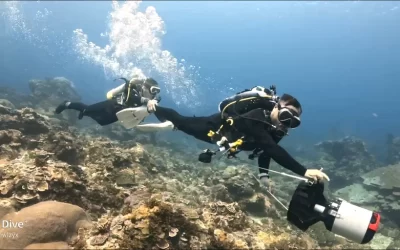 Green Island: Water Propeller Course & Experience